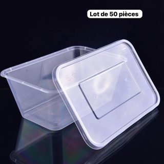 Box plastique lot de 50pcs