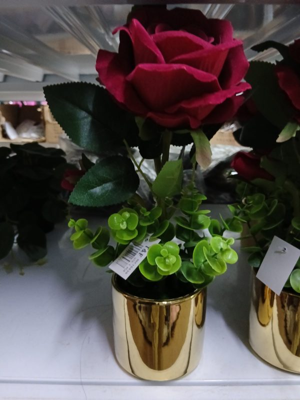 Pot de fleurs – Image 3