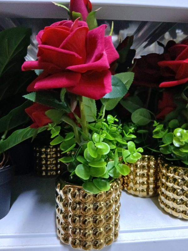 Pot de fleurs