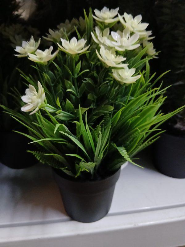 Pot de fleurs – Image 2