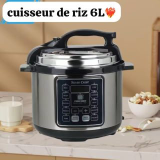 Cuiseur de riz 6 litres
