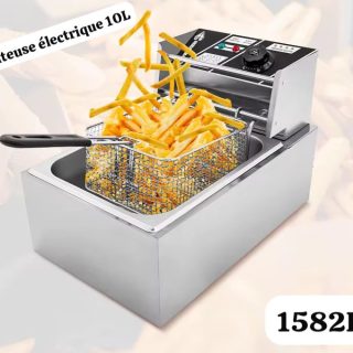 Friteuse électrique 10 litres